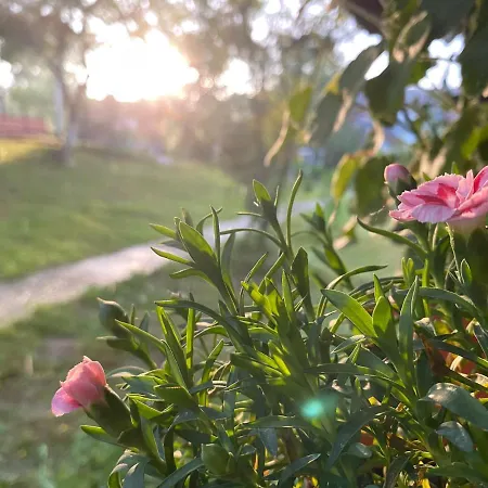 Guest house Sadiba Rozchil Yablunytsya