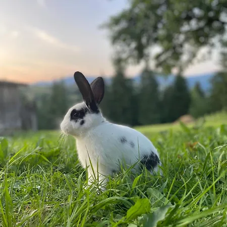 Sadiba Rozchil Penzion Jablunycja