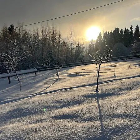 Konukevi Sadiba Rozchil Yablunytsia